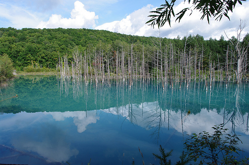 Small Blue Pond